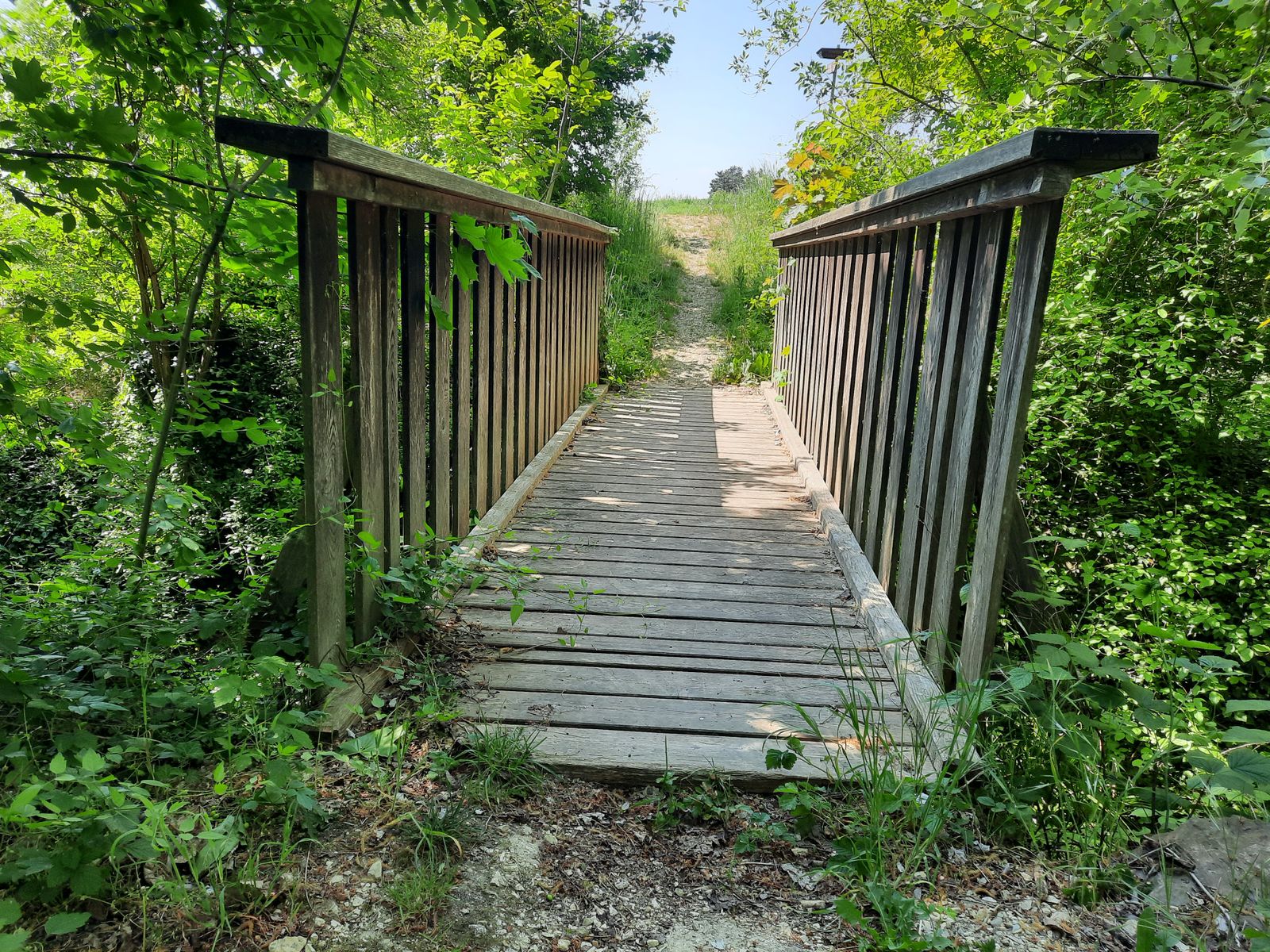 Mentaltraining – innere Stärke entwickeln